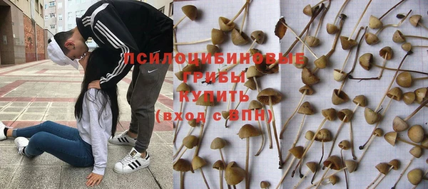 мет Новодвинск