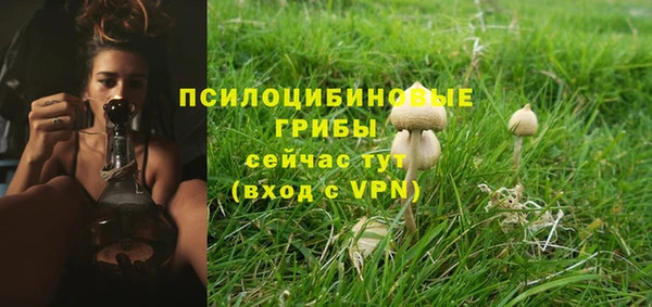 спайс Нея