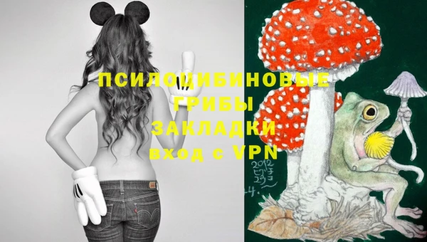 спайс Михайловка