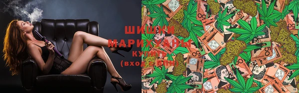 спайс Нея