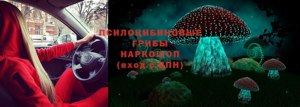 спайс Нея