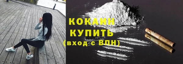 каннабис Новозыбков
