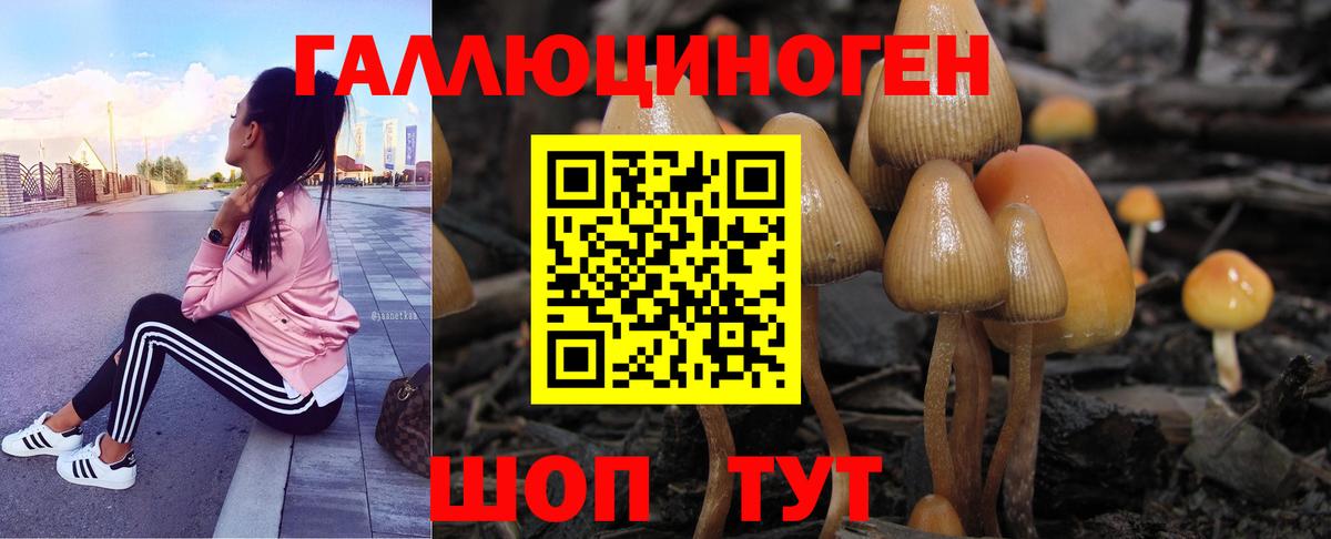 Галлюциногенные грибы MAGIC MUSHROOMS  Галлюциногенные грибы Magic Shrooms  Избербаш 